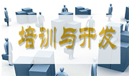 培訓(xùn)與開發(fā)